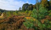 Trail Walking Braine-le-Comte - Marche Adeps à Hennuyères - Photo 7