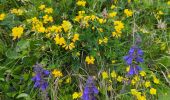 Trail Walking Kastelruth - Castelrotto - Schlern - Photo 20