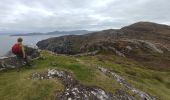 Tocht Stappen West Cork - Dursey Sound - Allihies beach - Photo 4