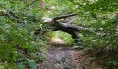 Tocht Stappen Graven - GRP127/GR579: de Pécrot à Genval - Photo 4