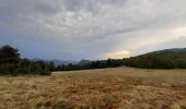 Trail Walking Montferrer - Montferrer . El Castel . Puig de Vilafort -  retour par la piste  - Photo 11