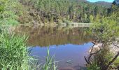 Tour Wandern Puget-sur-Argens - La lieutenante avec Jean-Pierre - Photo 2