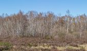 Tocht Te voet Vettweiß - Ziegenmelkerweg - Photo 2