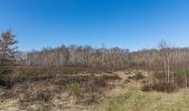 Randonnée A pied Vettweiß - Drover Heide - Photo 7