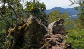 Trail Walking Dambach-la-Ville - Sommets et rochers - Photo 15