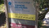 Tocht Stappen Cavalaire-sur-Mer - Cavalaire 2  - Photo 3