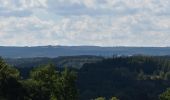 Tour Wandern Theux - 20220901 - Jehanster 5.3 Km - Photo 3