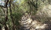 Trail Walking Collioure - Tour de Madeloc par les cols 15 km 741 m D+ - Photo 11