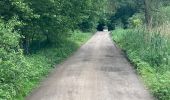 Tocht Elektrische fiets Berlare - Overmere- donk -definitief - Photo 1
