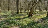 Tocht Stappen Bevekom - Meerdael et molendaal à partir de Hamme Mil - Photo 11