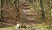 Trail On foot Waldstetten - Nordic Walking Strecke 2 - Photo 9