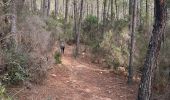 Percorso  Bagnols-en-Forêt - Bagnols en Forêt les meules - Photo 5