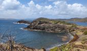 Tour Wandern La Trinité - Presqu'île de la caravelle  - Photo 19
