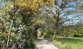 Trail Walking Stoumont - moulin du ruy . ruy . andrimont . cour . borgoumont . moulin du ruy - Photo 3
