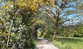 Randonnée Marche Stoumont - moulin du ruy . ruy . andrimont . cour . borgoumont . moulin du ruy - Photo 3