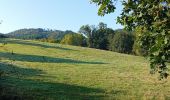 Trail Walking Sare - Les palombières - Photo 13