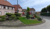 Tour Elektrofahrrad Erstein - vieux Rhin - Photo 1