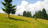 Trail On foot Vatra Dornei - Vatra Dornei-Schitul 12 Apostoli - Photo 4