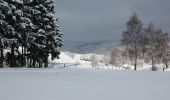 Tocht Te voet Meschede - Wanderweg Freienohl-Hellefeld - Photo 4