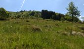 Trail On foot Poppenhausen - Poppenhausen - Rhön-Rundweg 1 - Photo 1