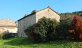 Trail On foot Capannori - 