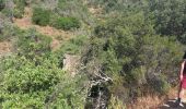 Percorso Marcia Roquebrune-sur-Argens - Circuit de l'eau - Photo 8
