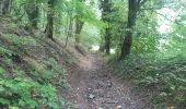 Trail Walking Chaudfontaine - embourg . rond chene . henne . embourg  - Photo 7