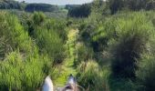 Trail Horseback riding Bastogne - Lutrebois - Photo 4