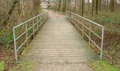 Trail On foot Itzehoe - DE-4 - Photo 7