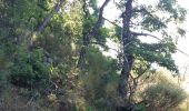 Trail Walking La Roche-des-Arnauds - SityTrail - Circuit de la combe du Duc - Photo 11