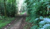 Tocht Stappen Tintigny - La Rando du Bian: Autour de Lahage  - Photo 14