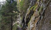 Trail Walking Le Valtin - Col de la Schlucht - sentier des Roches - Petit Honneck - Honneck - Trois Fours - Photo 5