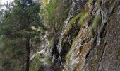 Percorso Marcia Le Valtin - Col de la Schlucht - sentier des Roches - Petit Honneck - Honneck - Trois Fours - Photo 5