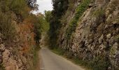 Trail Walking Saint-Antonin-du-Var - SAINT-ANTONIN DU VAR - ENTRE MENTONE ET SALERNES - Photo 6