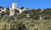 Tour Wandern Cazevieille - Le lac de la Jasse depuis Cazevielle - Photo 12