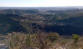 Trail Walking Anduze - Anduze le 30 01 2022 - Photo 4