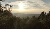 Tour Mountainbike Urbach bei Kaysersberg - Grand Brézouard - Photo 2