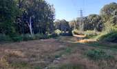 Excursión Senderismo Lieja - angleur . bois st Jacques . sart tilman . bois st laurent . angleur  - Photo 16