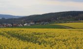 Tour Zu Fuß Fulda - Rundwanderweg Eichberg - Photo 2