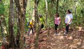 Excursión Senderismo La Trinité - parcours sportif de la pointe rouge - Photo 7