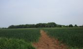 Tour Zu Fuß Bolsover - Archaeological Way (old route) - Photo 3