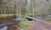 Tocht Stappen Vielsalm - Bihain 191123 - Photo 18