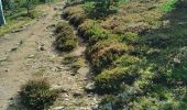 Tour Wandern Mont Lozère et Goulet - 4em étape chemin chemin de Stevenson - Photo 2