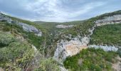 Randonnée Marche Monieux - Gorges de la Nesque - Photo 1