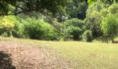 Trail Trail Sainte-Anne - Saint Anne  - Photo 11