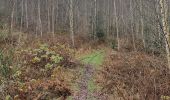 Tour Wandern La Roche-en-Ardenne - rando warempage 10/12/2020 - Photo 13
