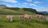 Tour Wandern Villanders - Villanderer Alm - Stöfflhütte et prairies marécageuses - Photo 19