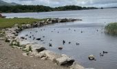 Trail Walking Killarney Municipal District - Walk in the Killarney National Park - Photo 8