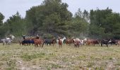 Trail Walking Martigues - La Couronne - Photo 6