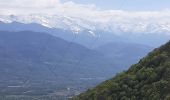 Trail Walking Saint-Vincent-de-Mercuze - Cascade de l'Alloix Montalieu (38) - Photo 20